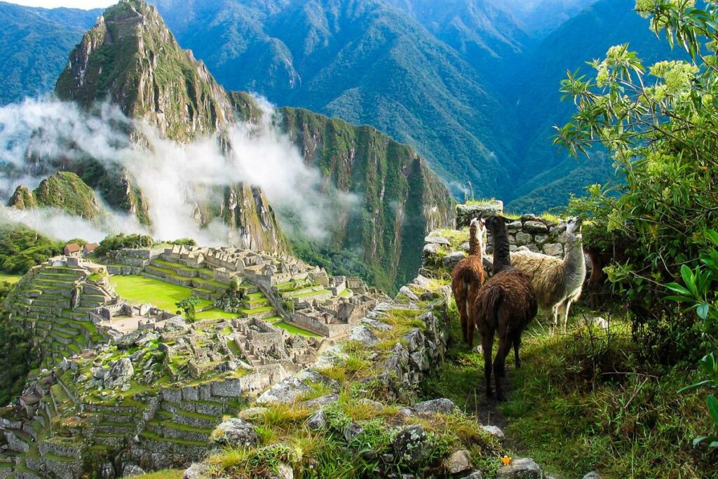 Guía completa de estudiar en Perú