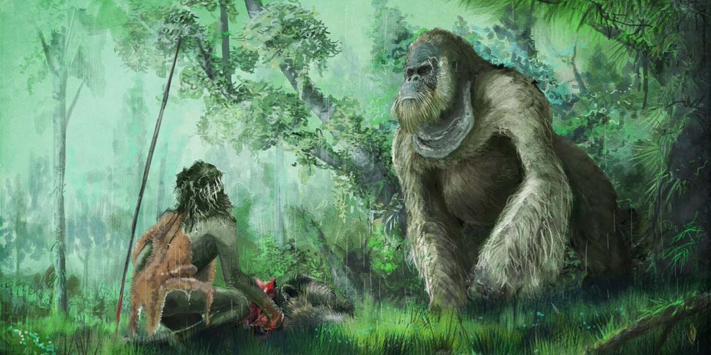 Gigantopithecus blacki