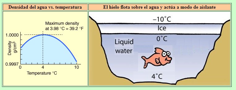 calcular densidad del agua