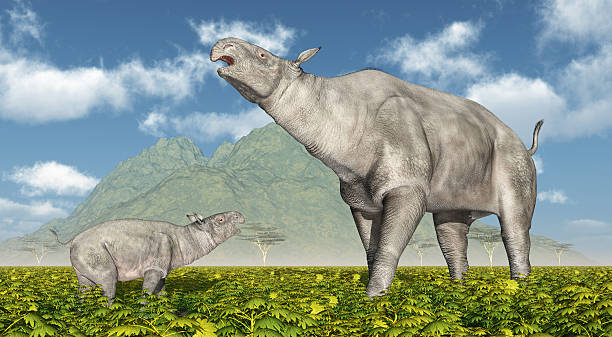 Baluchitherium