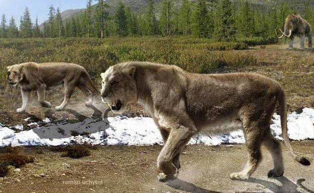 León de las cavernas