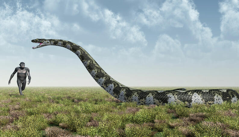 Titanoboa Cerrejonensis